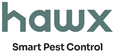 logo of Hawx Pest Control