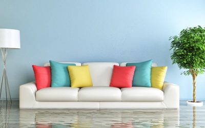 Water in Basement: What Should you do Next?