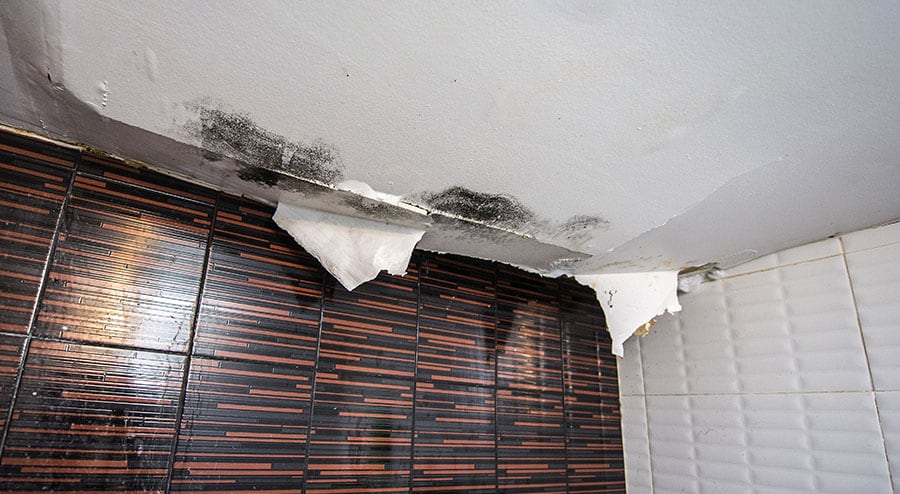 What To Do And What Not To Do When Dealing With Water Damage