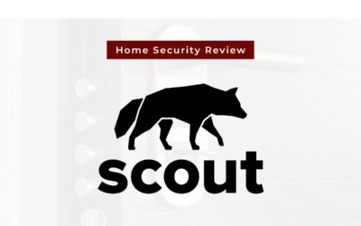 Scout Review