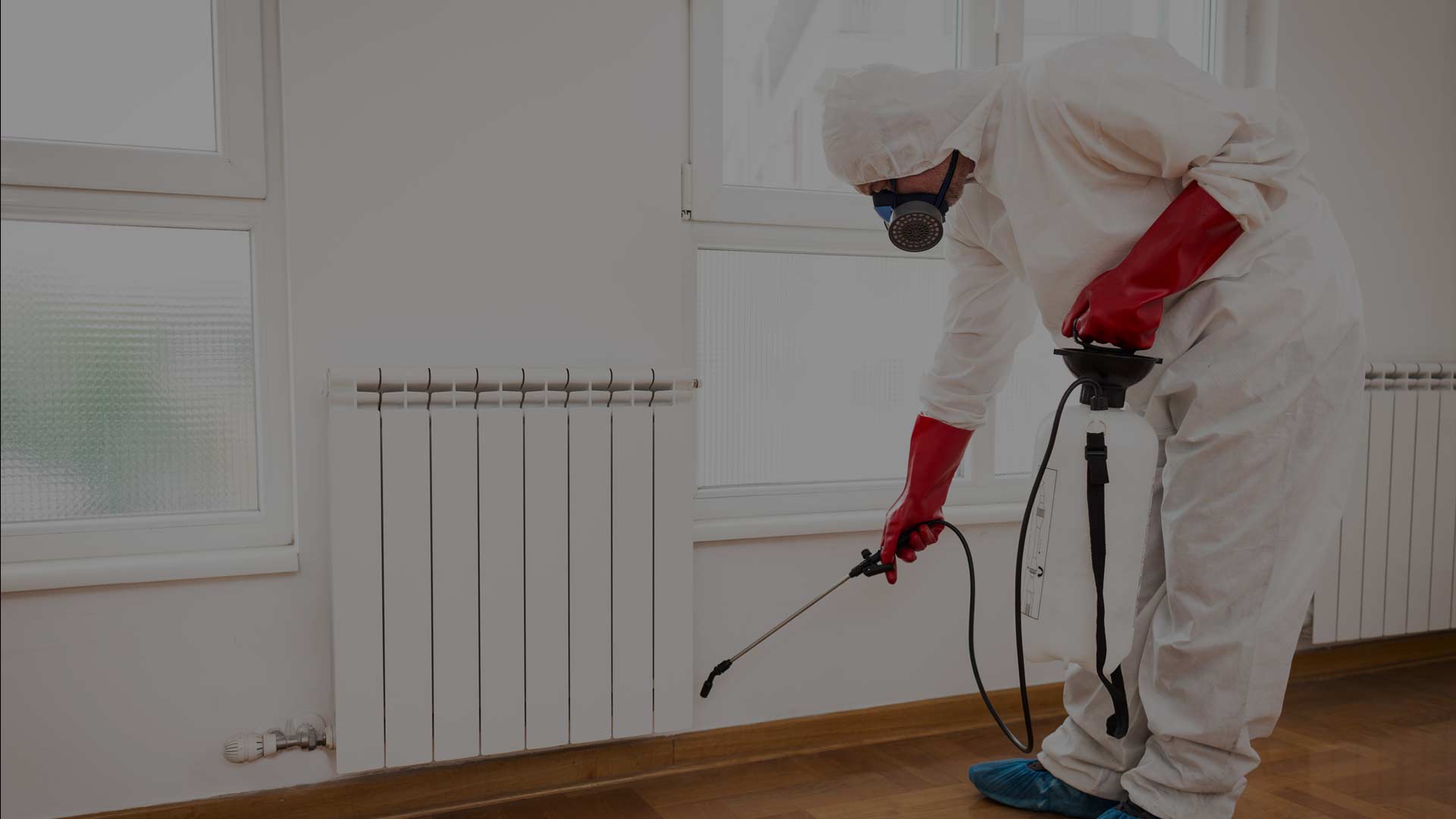 Preparing Your Home for Pest Control Services