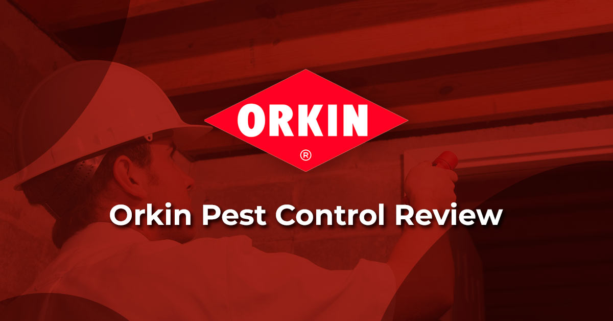 Orkin Pest Control Company Review Featured Image