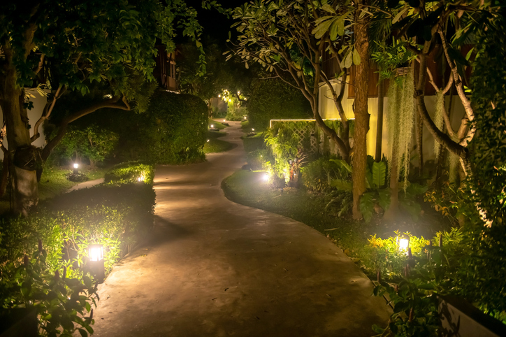 footpath alley with lamp decoration by trees in the park at night.