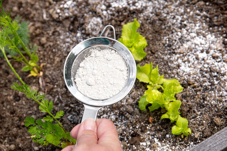 Gardener white sprinkle Diatomaceous earth