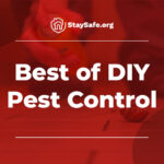 Best of DIY Pest Control Featured Image