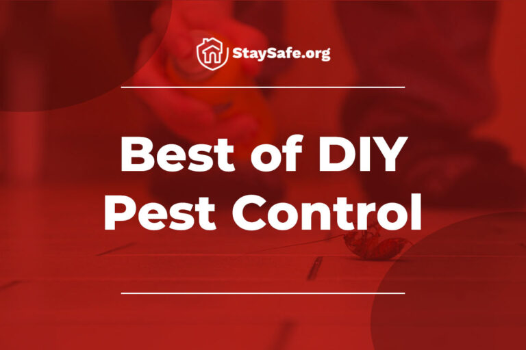 Best of DIY Pest Control Featured Image